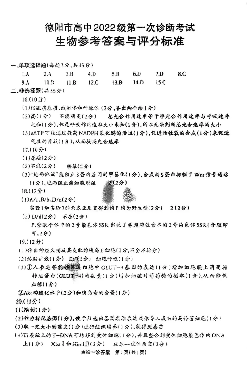 生物答案_2024-2025高三（6-6月题库）_2024年12月试卷_12052025届四川省德阳市高三第一次诊断考试_2025届四川省德阳市高三第一次诊断考试生物