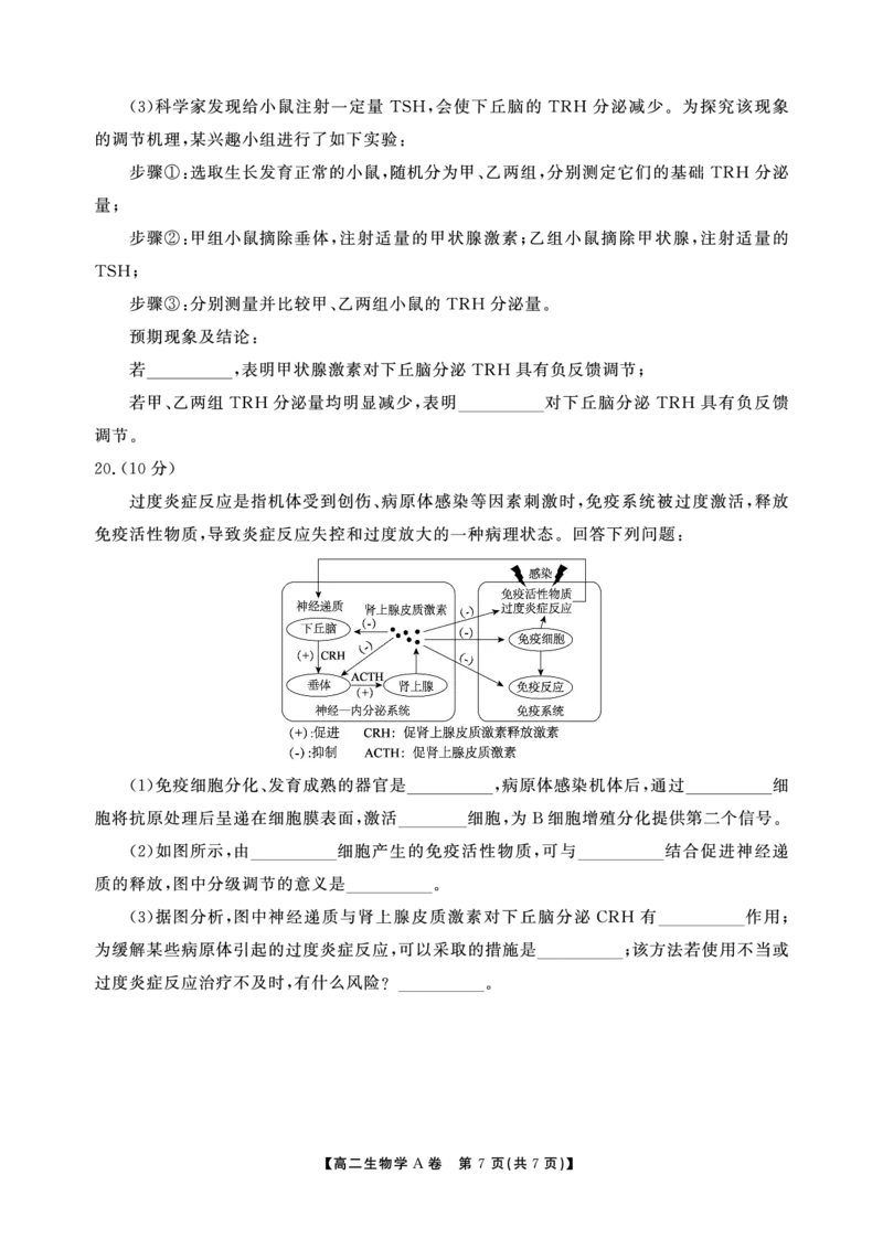 生物A卷安徽省鼎尖名校大联考2025-2026学年上学期高二11月期中考试_2025年11月高二试卷_251122安徽省鼎尖名校大联考2025-2026学年上学期高二11月期中考试（全科）