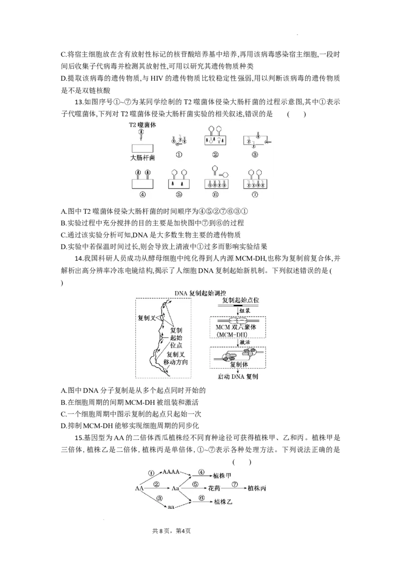高二生物试题考试版_2025年10月高二试卷_251029湖北省部分高中协作体2025-2026学年高二上学期10月月考_湖北省部分高中协作体2025-2026学年高二上学期10月月考生物试题含答案