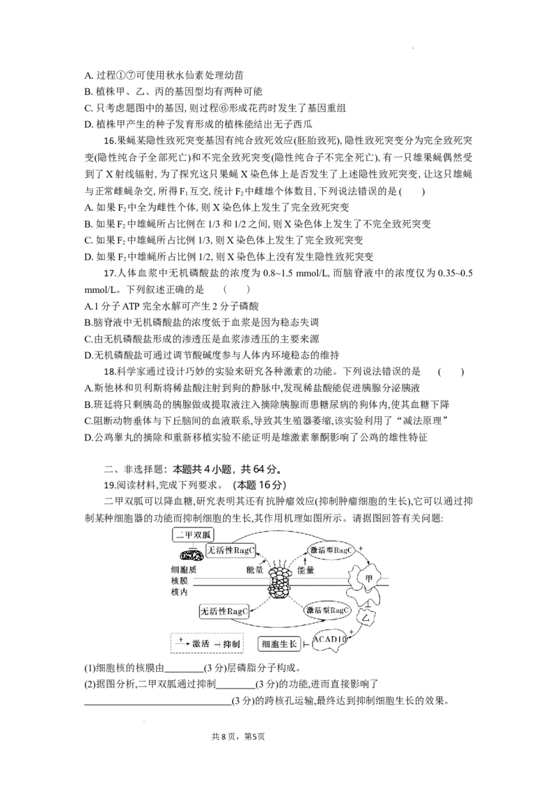 高二生物试题考试版_2025年10月高二试卷_251029湖北省部分高中协作体2025-2026学年高二上学期10月月考_湖北省部分高中协作体2025-2026学年高二上学期10月月考生物试题含答案