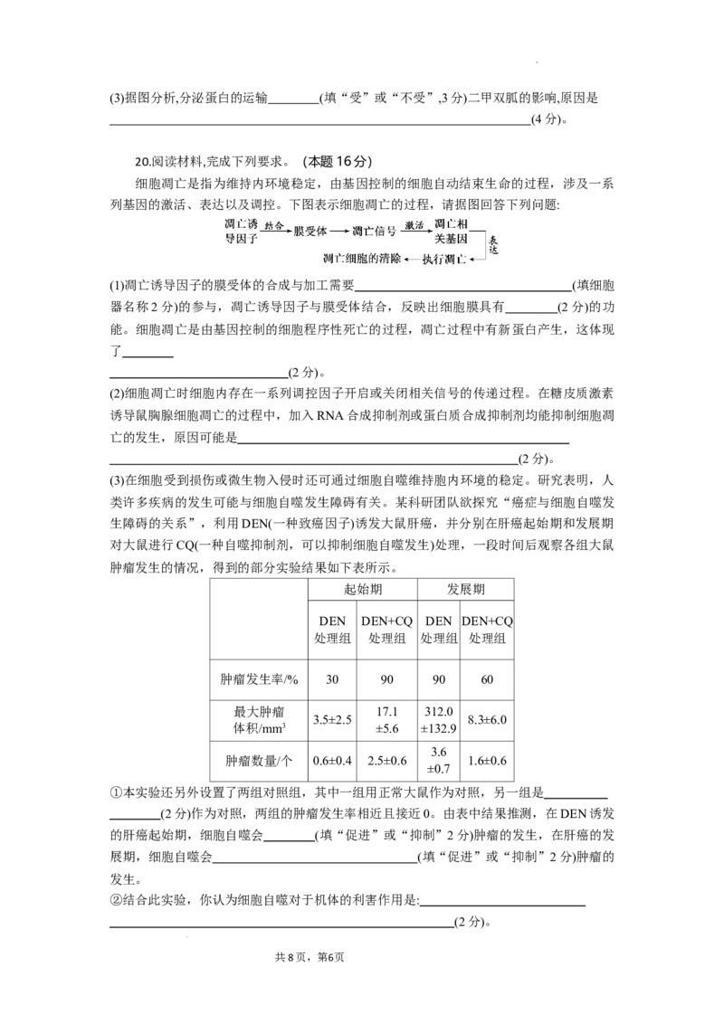 高二生物试题考试版_2025年10月高二试卷_251029湖北省部分高中协作体2025-2026学年高二上学期10月月考_湖北省部分高中协作体2025-2026学年高二上学期10月月考生物试题含答案