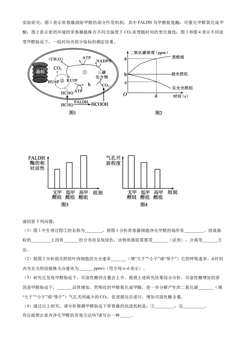 浙江省丽水市发展共同体2025-2026学年高二上学期11月期中生物试题Word版含解析_251210浙江省丽水发展共同体2025-2026学年高二上学期11月期中（全）