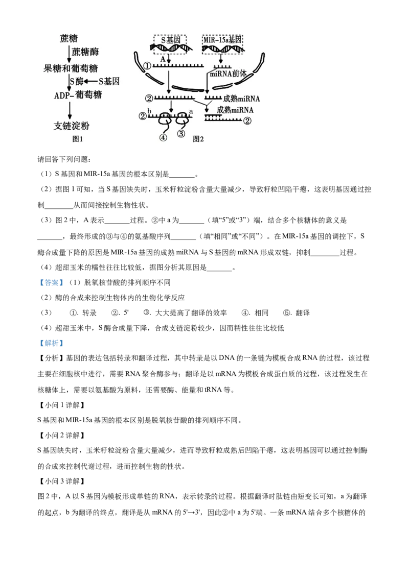 浙江省丽水市发展共同体2025-2026学年高二上学期11月期中生物试题Word版含解析_251210浙江省丽水发展共同体2025-2026学年高二上学期11月期中（全）