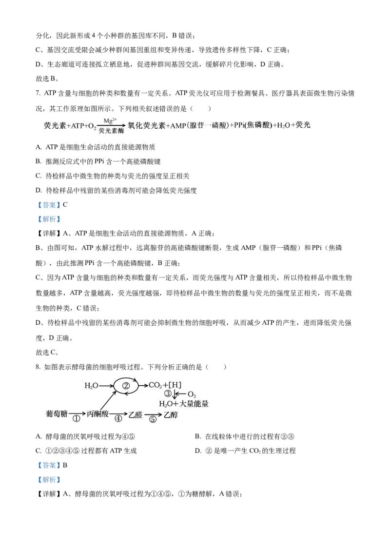 浙江省丽水市发展共同体2025-2026学年高二上学期11月期中生物试题Word版含解析_251210浙江省丽水发展共同体2025-2026学年高二上学期11月期中（全）