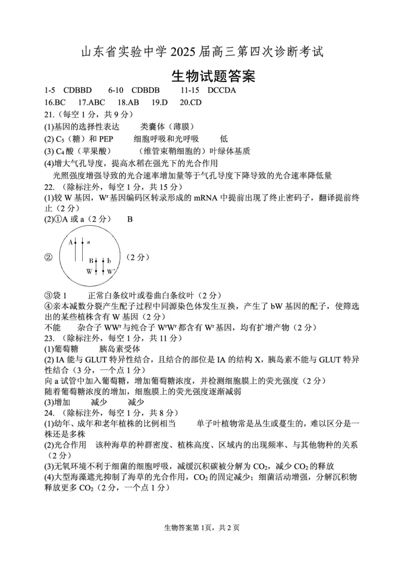 生物学-答案_2024-2025高三（6-6月题库）_2025年02月试卷_02142025届山东省实验中学高三下学期第四次诊断考试（全科）_2025届山东省实验中学高三下学期第四次诊断考试生物