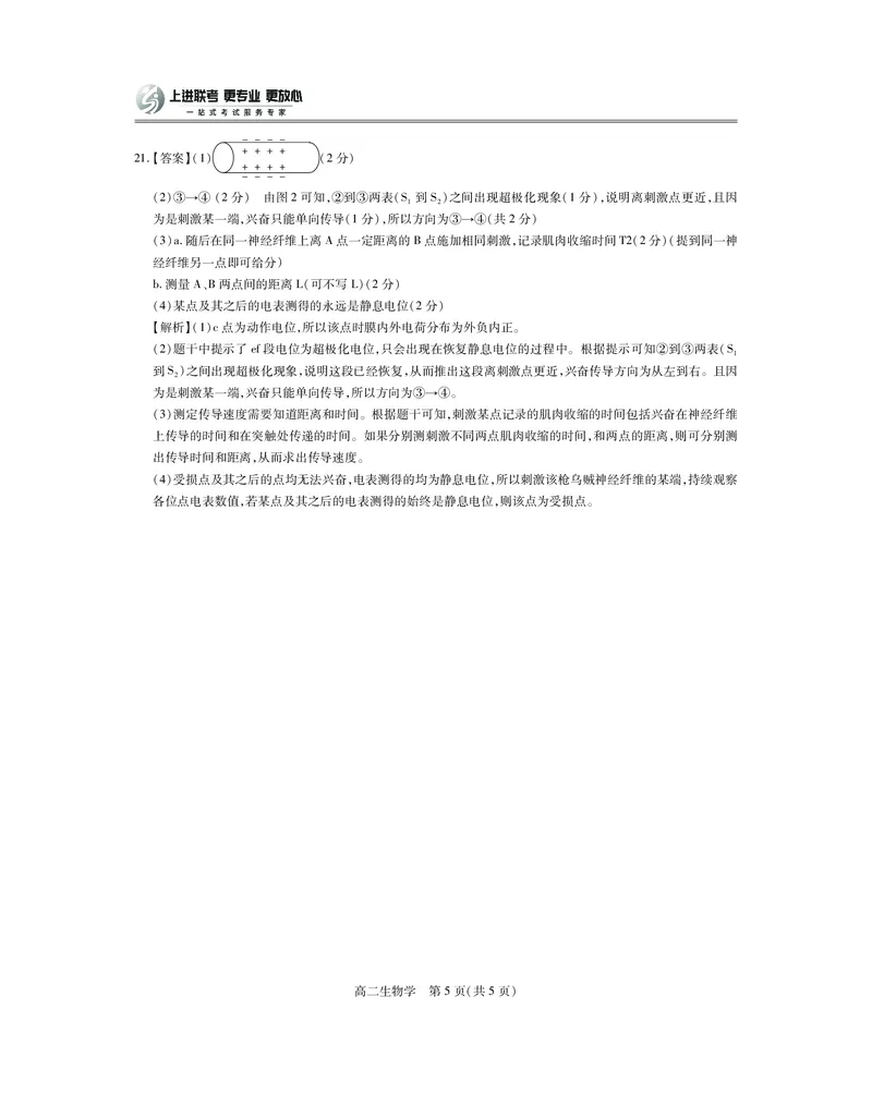 江西省上进联考2025-2026学年高二上学期11月期中考试&middot;生物答案_2025年11月高二试卷_251114江西省上进联考2025-2026学年高二上学期11月期中考试（全）