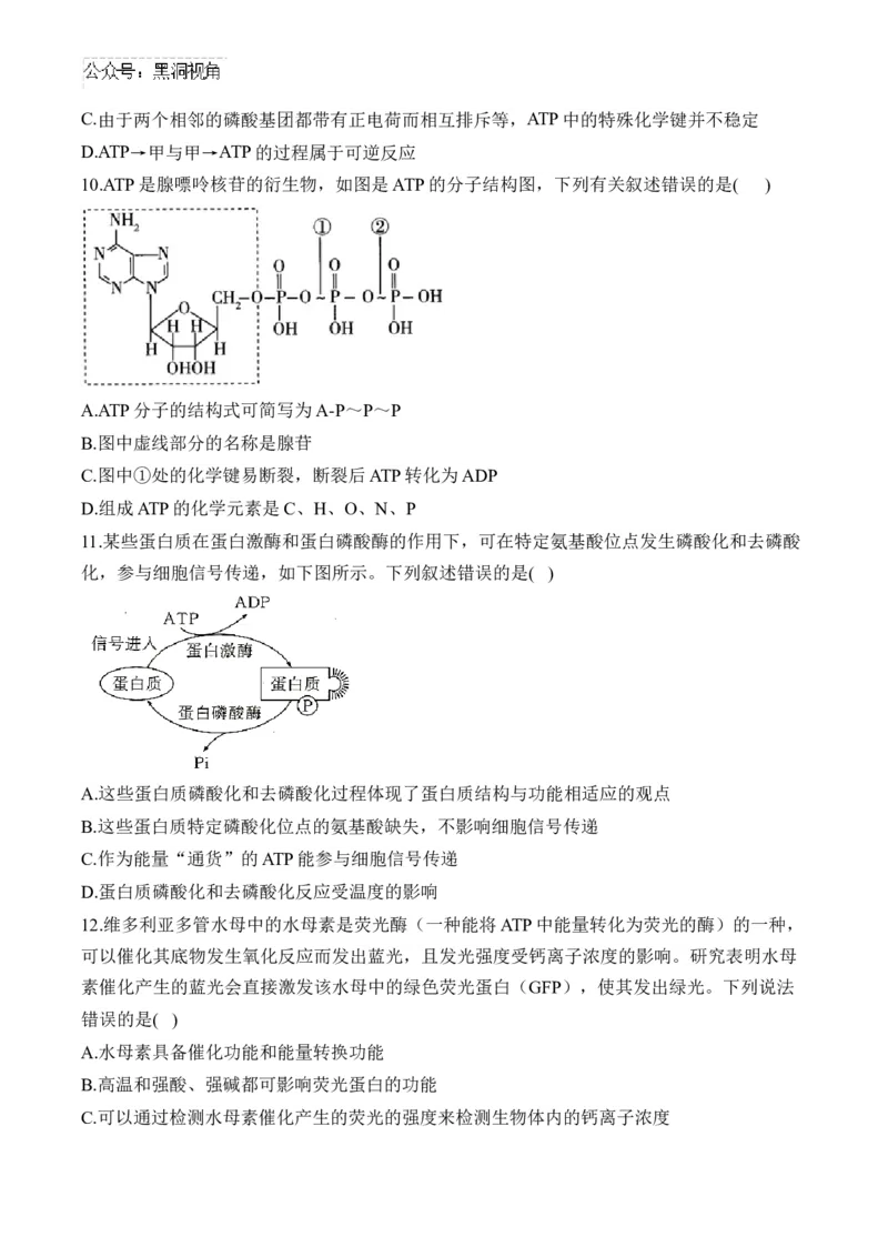 （4）酶与ATP&mdash;&mdash;2025届高考生物二轮复习易错重难提升（含解析）_2024-2025高三（6-6月题库）_2025年02月试卷_02162025届高考生物二轮复习易错重难提升（含解析）