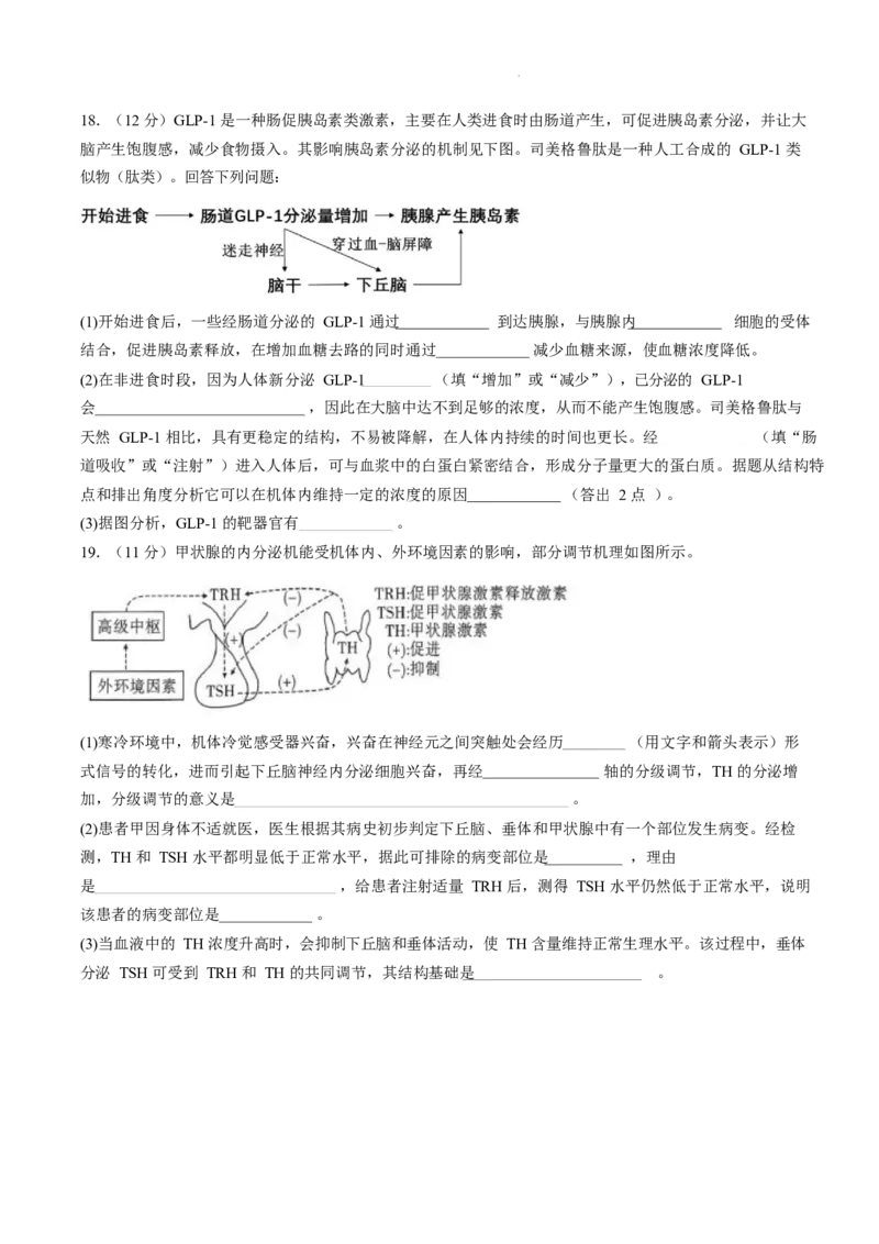 高二生物试题_2025年10月高二试卷_251028四川省成都外国语学校2025-2026学年高二上学期10月月考_四川省成都外国语学校2025-2026学年高二上学期10月检测生物试题含答案