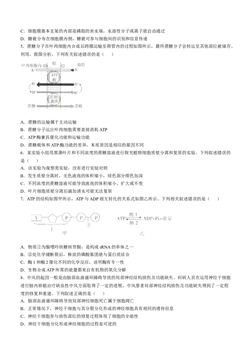 福建省部分达标高中2024-2025学年高三上学期期中考试生物试题_2024-2025高三（6-6月题库）_2024年11月试卷_1109福建省金太阳2024-2025学年高三上学期半期考试（25-121C）