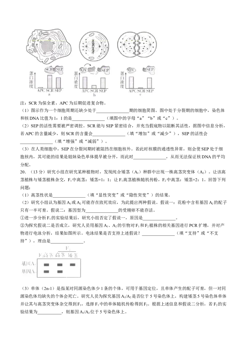 福建省部分达标高中2024-2025学年高三上学期期中考试生物试题_2024-2025高三（6-6月题库）_2024年11月试卷_1109福建省金太阳2024-2025学年高三上学期半期考试（25-121C）