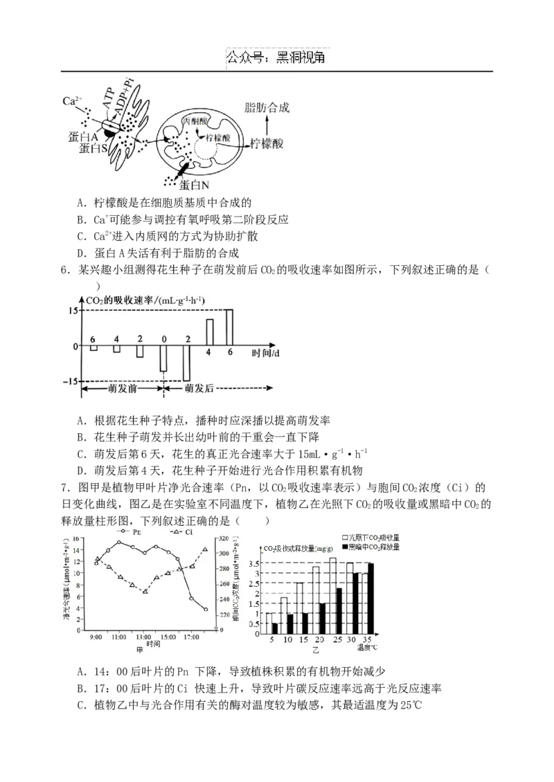 黑龙江省牡丹江市省级示范高中2024-2025学年高三上学期期中考试生物Word版含答案_2024-2025高三（6-6月题库）_2024年11月试卷