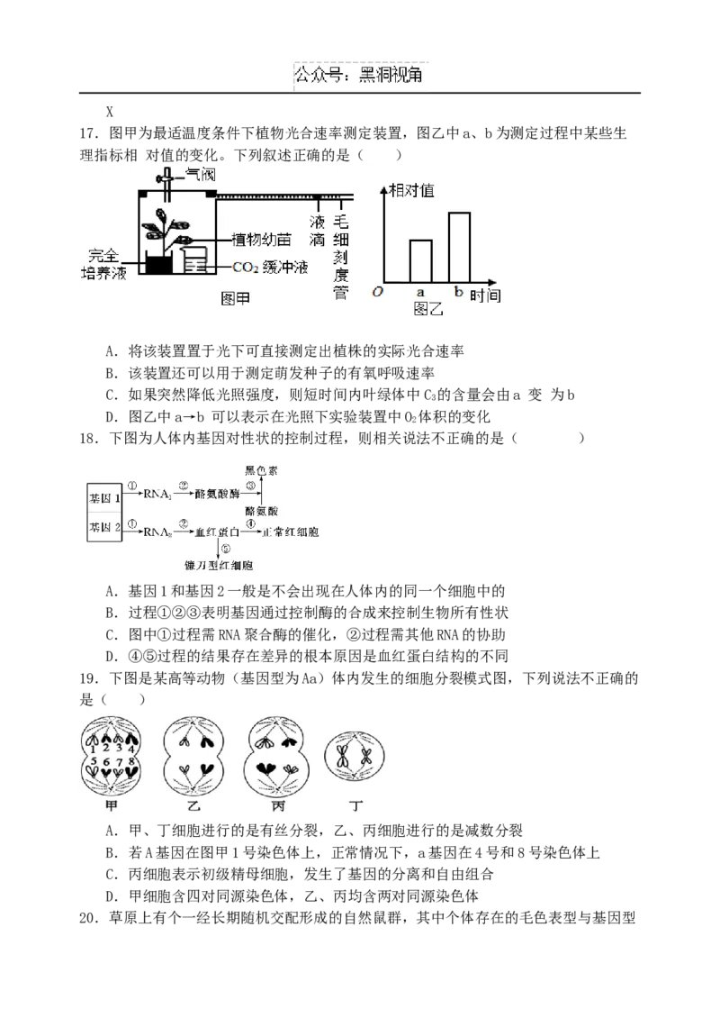 黑龙江省牡丹江市省级示范高中2024-2025学年高三上学期期中考试生物Word版含答案_2024-2025高三（6-6月题库）_2024年11月试卷