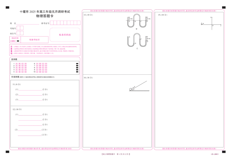 物理209C答题卡_2024-2025高三（6-6月题库）_2025年01月试卷_01102025届湖北省十堰市高三一模金太阳元月调研