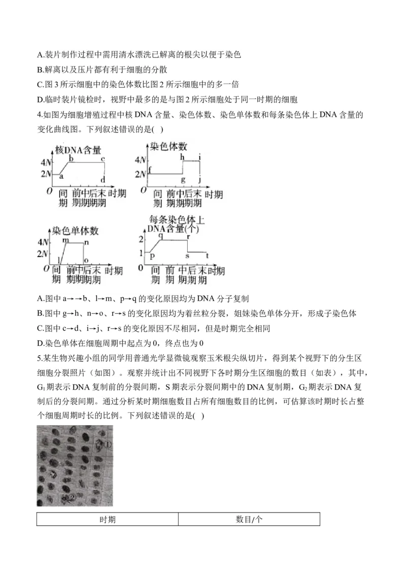 （7）细胞的生命历程&mdash;&mdash;高考生物二轮复习易错重难提升（含解析）_2024-2025高三（6-6月题库）_2026年1月高三_260104高考生物二轮复习易错重难提升（含解析）