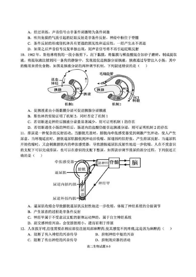 湖北省十堰市八校教联体学校2025-2026学年高二上学期11月月考生物试题含答案_2025年11月高二试卷_251109湖北省十堰市八校教联体学校2025-2026学年高二上学期11月月考（全）