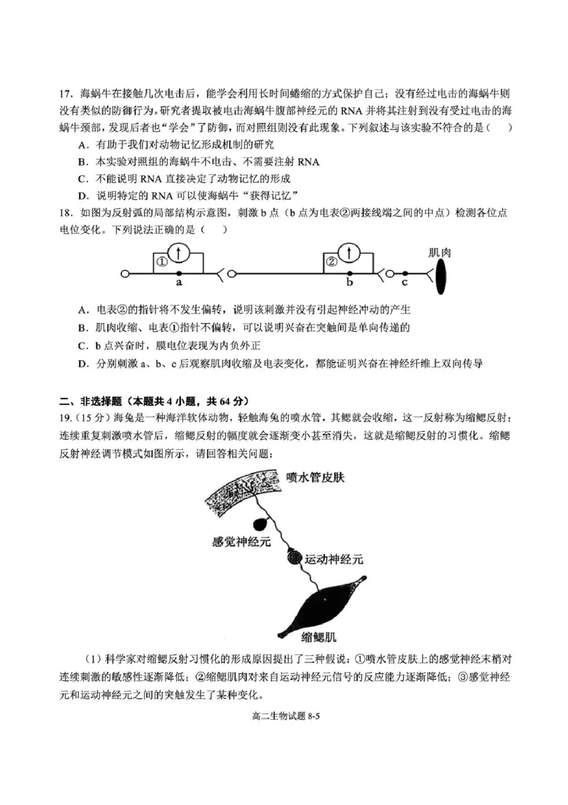 湖北省十堰市八校教联体学校2025-2026学年高二上学期11月月考生物试题含答案_2025年11月高二试卷_251109湖北省十堰市八校教联体学校2025-2026学年高二上学期11月月考（全）