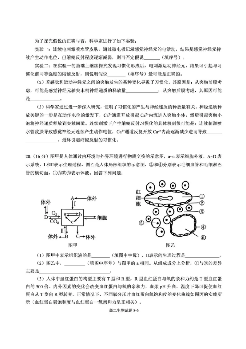 湖北省十堰市八校教联体学校2025-2026学年高二上学期11月月考生物试题含答案_2025年11月高二试卷_251109湖北省十堰市八校教联体学校2025-2026学年高二上学期11月月考（全）