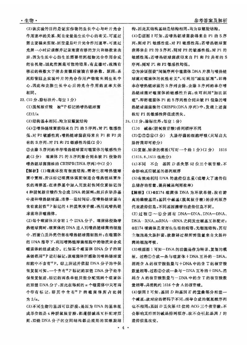 生物参考答案及解析_2024-2025高三（6-6月题库）_2024年10月试卷_1010辽宁省名校联盟2024-2025学年高三上学期10月联合考试_辽宁省名校联盟2024-2025学年高三上学期10月月考生物