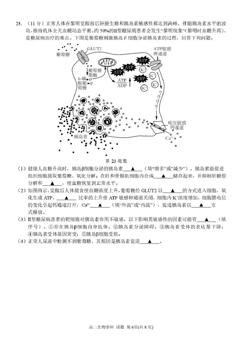 高二生物试卷_251204浙江省金兰教育合作组织2025-2026学年高二上学期11月期中联考（全）_浙江省金兰教育合作组织2025-2026学年高二上学期11月期中联考生物试题扫描版含答案