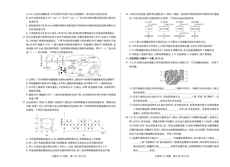 生物学广西高二12月测_251227湖南省湘一联盟2025-2026学年高二上学期12月月考试题（全）
