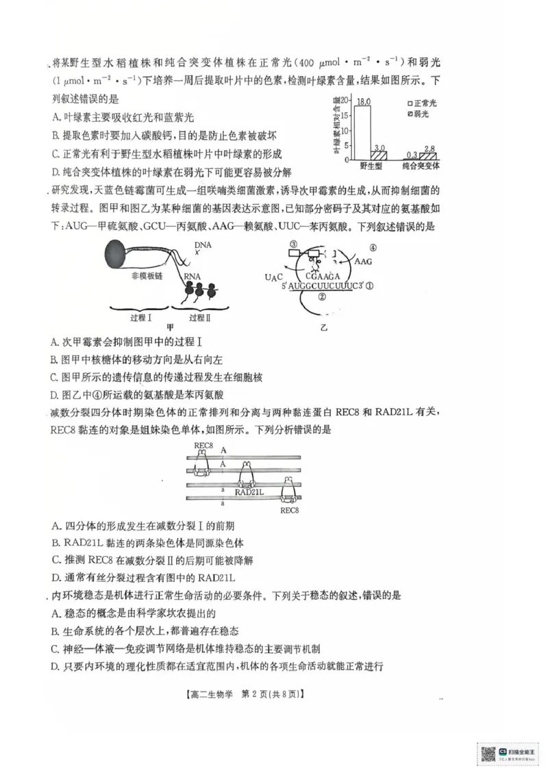 湖南省多校联考2025&mdash;2026学年高二上学期10月月考生物试卷及答案高二生物学试卷_2025年10月高二试卷_251021湖南省多校联考2025&mdash;2026学年高二上学期10月月考