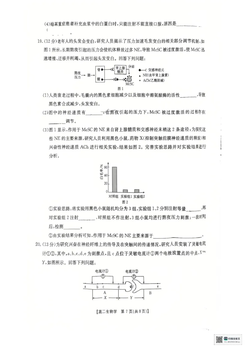 湖南省多校联考2025&mdash;2026学年高二上学期10月月考生物试卷及答案高二生物学试卷_2025年10月高二试卷_251021湖南省多校联考2025&mdash;2026学年高二上学期10月月考