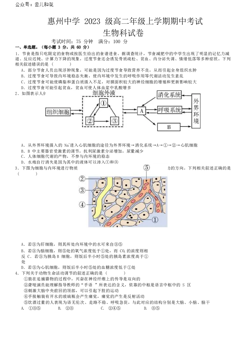 广东省惠州市惠城区惠州中学2024-2025学年高二上学期11月期中考试生物试题_2024年11月试卷_1108广东省惠州市惠州中学2024-2025学年高二上学期11月期中考试