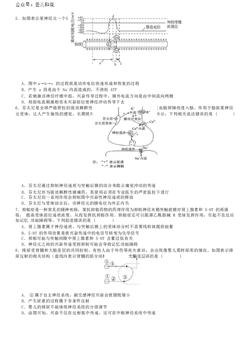 广东省惠州市惠城区惠州中学2024-2025学年高二上学期11月期中考试生物试题_2024年11月试卷_1108广东省惠州市惠州中学2024-2025学年高二上学期11月期中考试