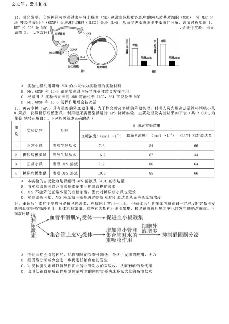 广东省惠州市惠城区惠州中学2024-2025学年高二上学期11月期中考试生物试题_2024年11月试卷_1108广东省惠州市惠州中学2024-2025学年高二上学期11月期中考试