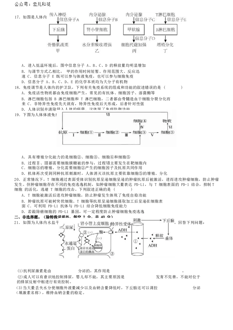 广东省惠州市惠城区惠州中学2024-2025学年高二上学期11月期中考试生物试题_2024年11月试卷_1108广东省惠州市惠州中学2024-2025学年高二上学期11月期中考试