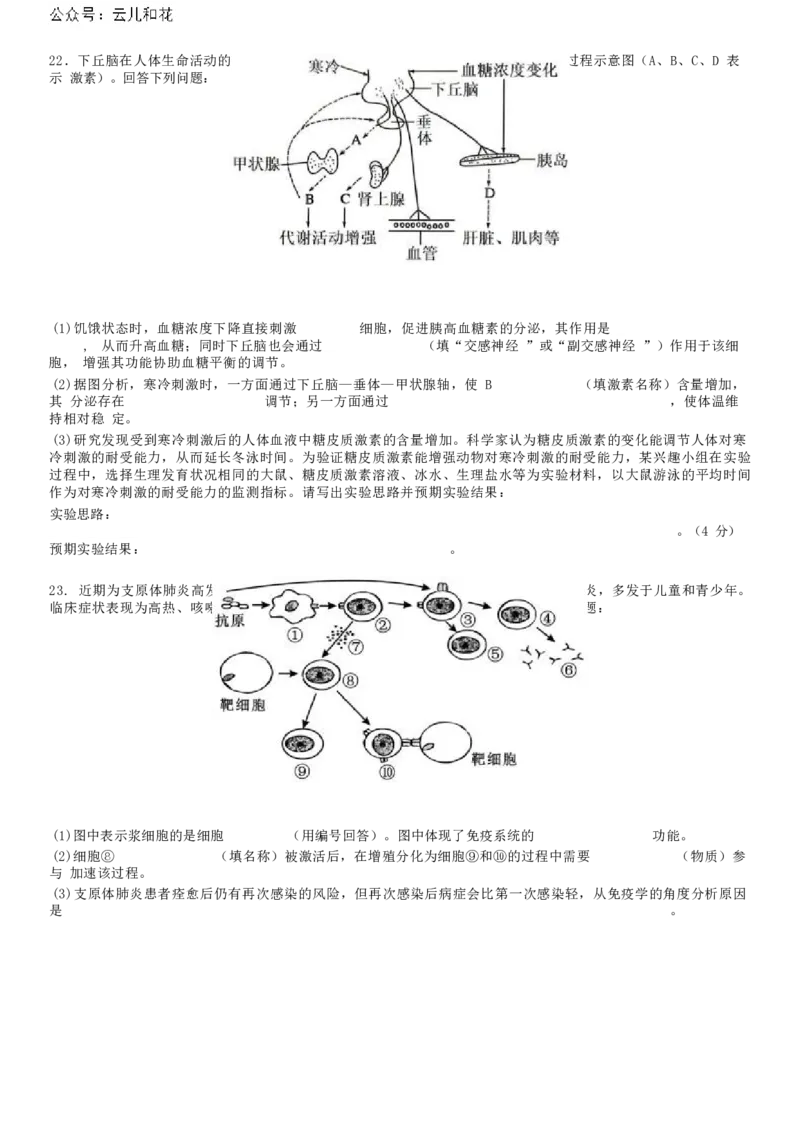 广东省惠州市惠城区惠州中学2024-2025学年高二上学期11月期中考试生物试题_2024年11月试卷_1108广东省惠州市惠州中学2024-2025学年高二上学期11月期中考试