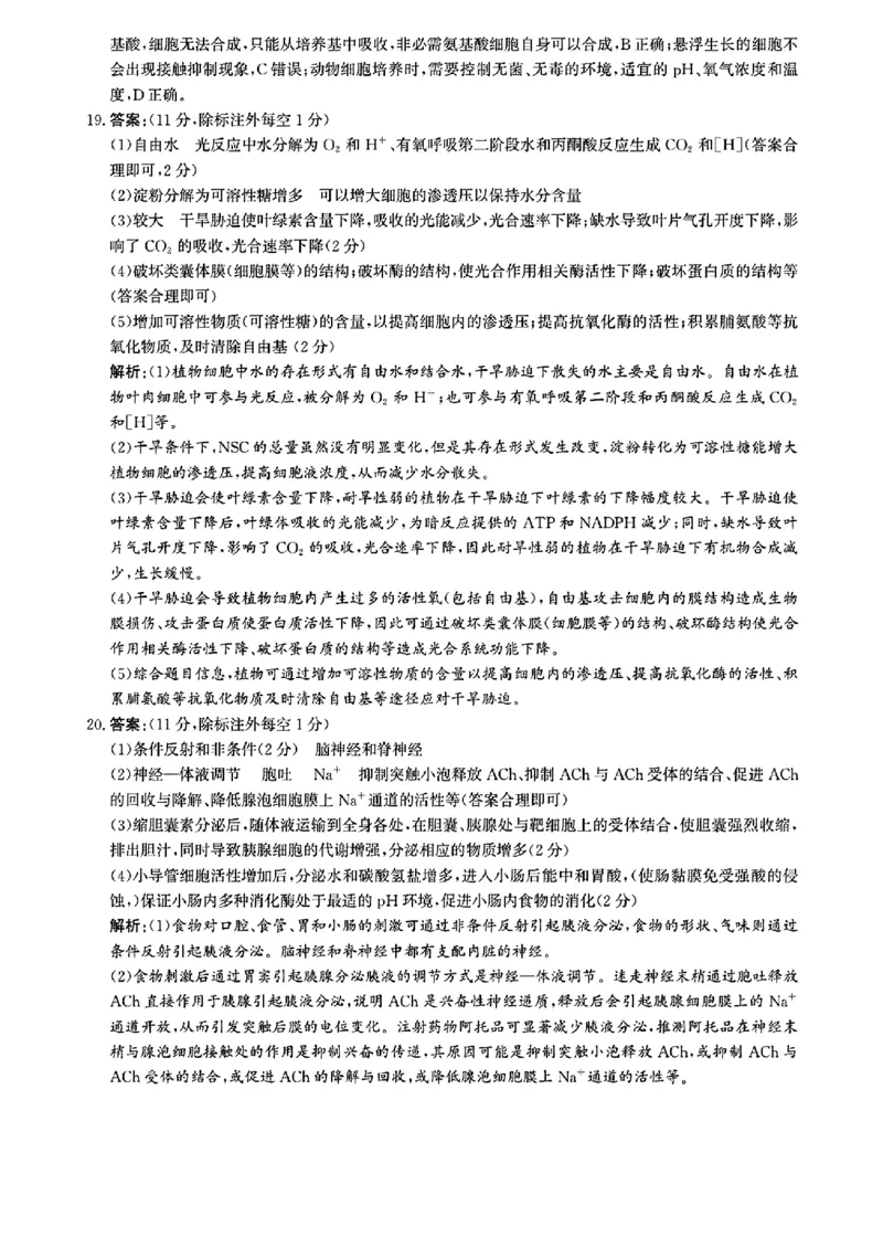 生物答案_2024-2025高三（6-6月题库）_2024年12月试卷_1225沧州市普通高中2025届高三年级12月教学质量监测（全科）_河北省沧州市2024-2025学年高三上学期12月教学质量监测生物