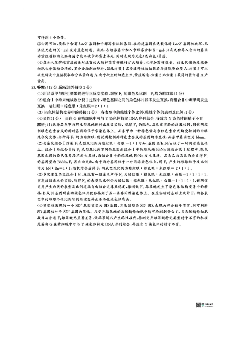 生物答案_2024-2025高三（6-6月题库）_2024年12月试卷_1225沧州市普通高中2025届高三年级12月教学质量监测（全科）_河北省沧州市2024-2025学年高三上学期12月教学质量监测生物