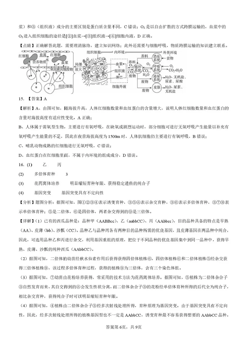 安徽省蚌埠市A层高中2025-2026学年高二上学期10月月考生物试题（含答案）_2025年10月高二试卷_251014安徽省蚌埠市A层高中2025-2026学年高二上学期10月月考（全）