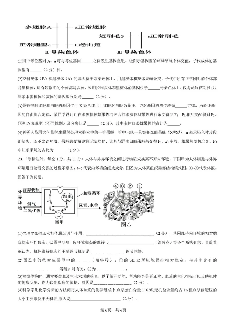 安徽省蚌埠市A层高中2025-2026学年高二上学期10月月考生物试题（含答案）_2025年10月高二试卷_251014安徽省蚌埠市A层高中2025-2026学年高二上学期10月月考（全）