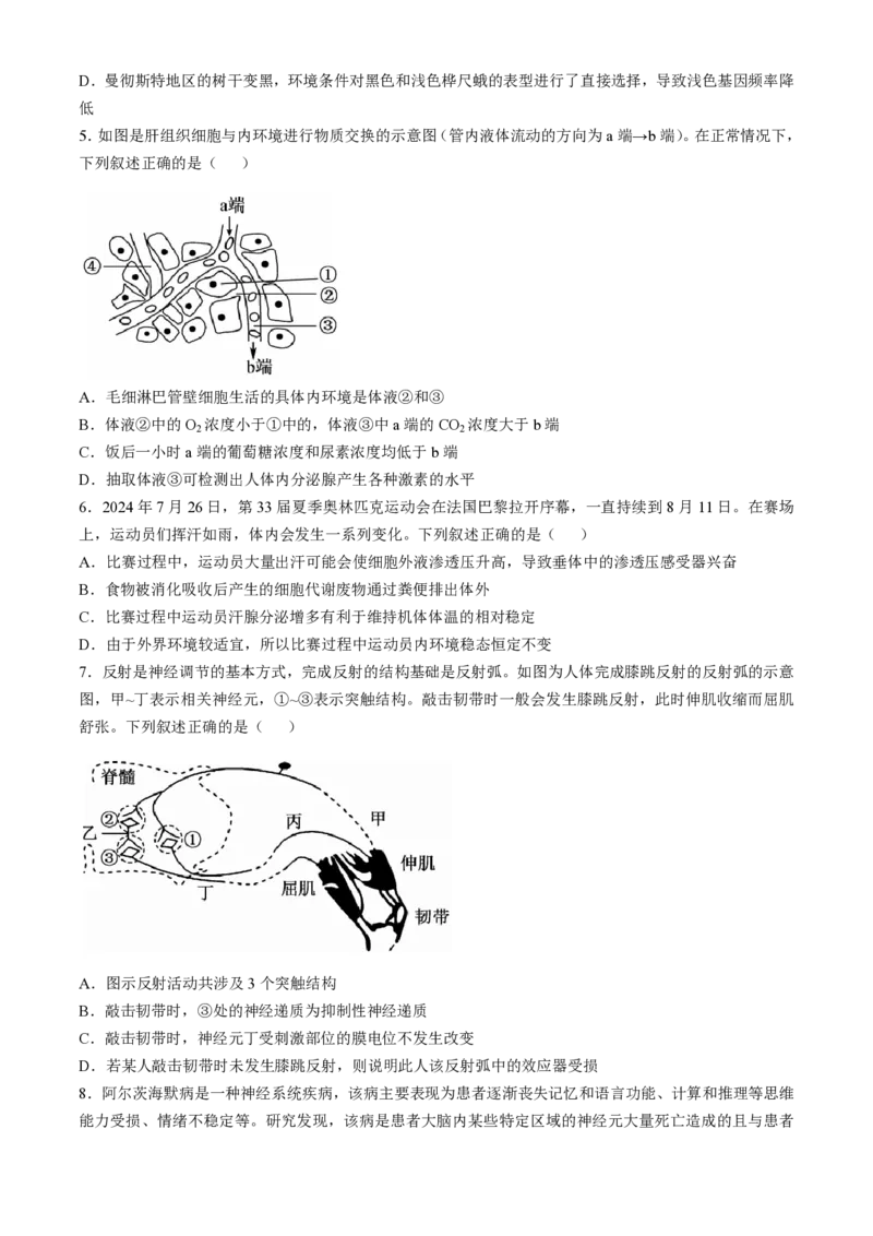贵州省九师联盟2024-2025学年高二上学期11月联考生物试题_2024-2025高二（7-7月题库）_2024年11月试卷_1126贵州省九师联盟2024-2025学年高二上学期11月联考
