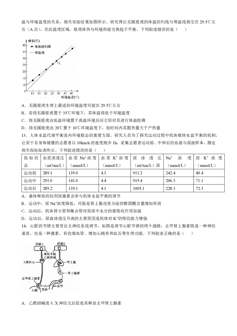 贵州省九师联盟2024-2025学年高二上学期11月联考生物试题_2024-2025高二（7-7月题库）_2024年11月试卷_1126贵州省九师联盟2024-2025学年高二上学期11月联考