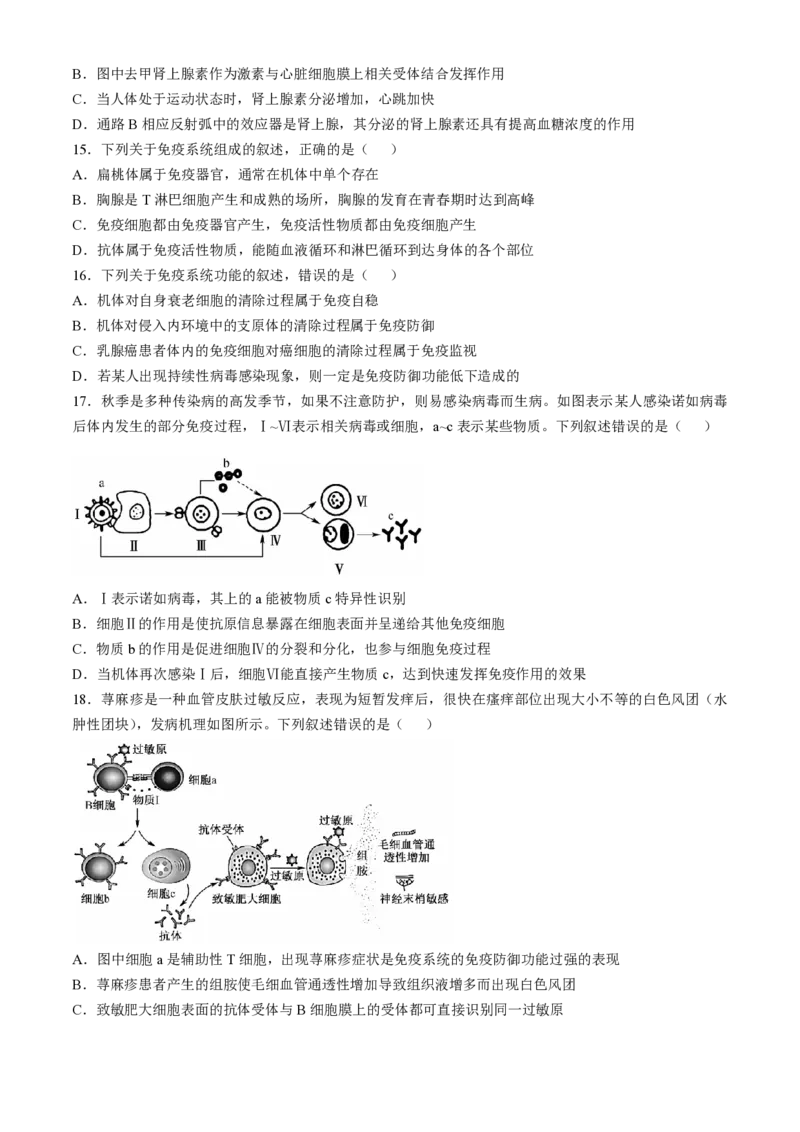 贵州省九师联盟2024-2025学年高二上学期11月联考生物试题_2024-2025高二（7-7月题库）_2024年11月试卷_1126贵州省九师联盟2024-2025学年高二上学期11月联考