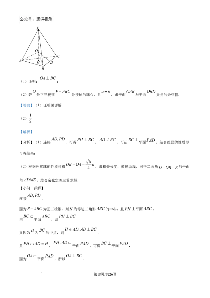 精品解析：云南省德宏傣族景颇族自治州民族第一中学2024-2025学年高三上学期10月月考数学试题（解析版）_2024-2025高三（6-6月题库）_2024年10月试卷