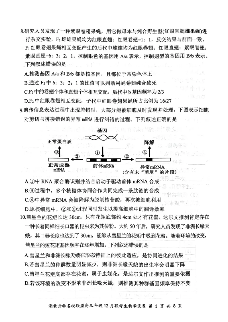 湖北云学名校联盟2025届高三年级12月联考生物_2024-2025高三（6-6月题库）_2024年12月试卷_1214湖北云学名校联盟2025届高三年级12月联考（全科）