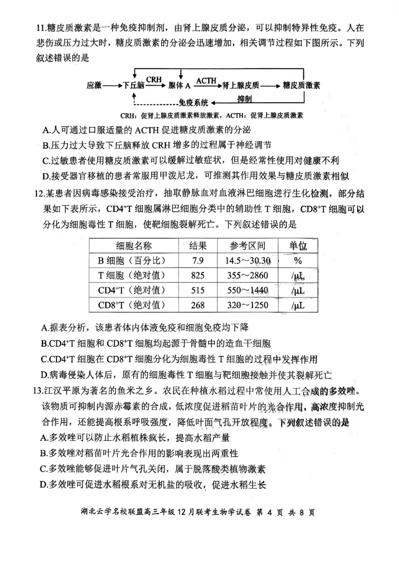 湖北云学名校联盟2025届高三年级12月联考生物_2024-2025高三（6-6月题库）_2024年12月试卷_1214湖北云学名校联盟2025届高三年级12月联考（全科）