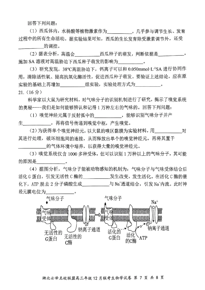 湖北云学名校联盟2025届高三年级12月联考生物_2024-2025高三（6-6月题库）_2024年12月试卷_1214湖北云学名校联盟2025届高三年级12月联考（全科）