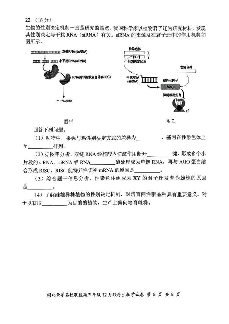 湖北云学名校联盟2025届高三年级12月联考生物_2024-2025高三（6-6月题库）_2024年12月试卷_1214湖北云学名校联盟2025届高三年级12月联考（全科）
