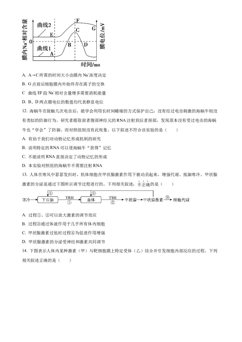 黑龙江省哈尔滨市省实验中学2025-2026学年高二上学期11月期中生物试题（原卷版）_2025年11月高二试卷_251121黑龙江省哈尔滨市省实验中学2025-2026学年高二上学期期中