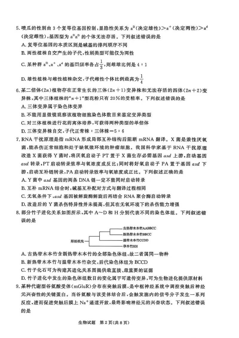 河南省青桐鸣大联考2025-2026学年高三上学期1月月考生物_2024-2026高三（6-6月题库）_2026年01月高三试卷_0116河南省青桐鸣大联考2025-2026学年高三上学期1月质量检测（全）