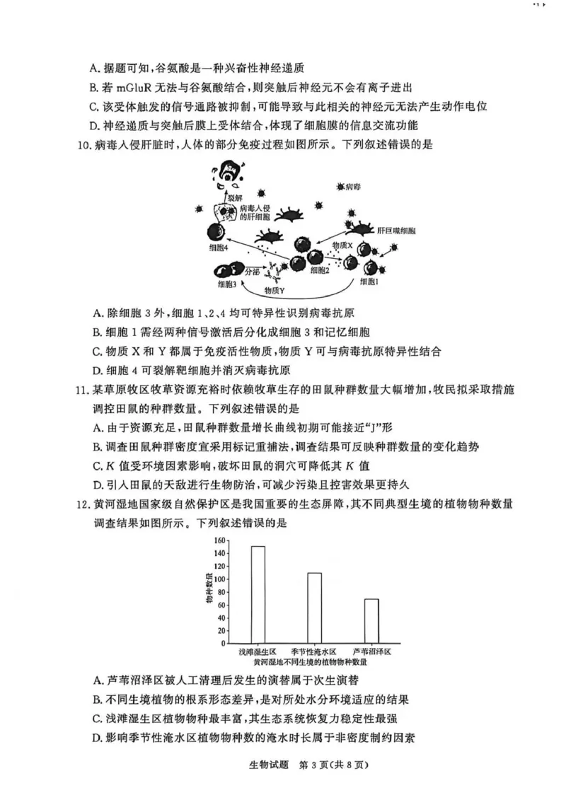 河南省青桐鸣大联考2025-2026学年高三上学期1月月考生物_2024-2026高三（6-6月题库）_2026年01月高三试卷_0116河南省青桐鸣大联考2025-2026学年高三上学期1月质量检测（全）