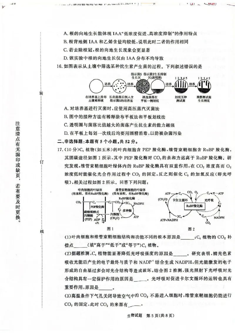 河南省青桐鸣大联考2025-2026学年高三上学期1月月考生物_2024-2026高三（6-6月题库）_2026年01月高三试卷_0116河南省青桐鸣大联考2025-2026学年高三上学期1月质量检测（全）