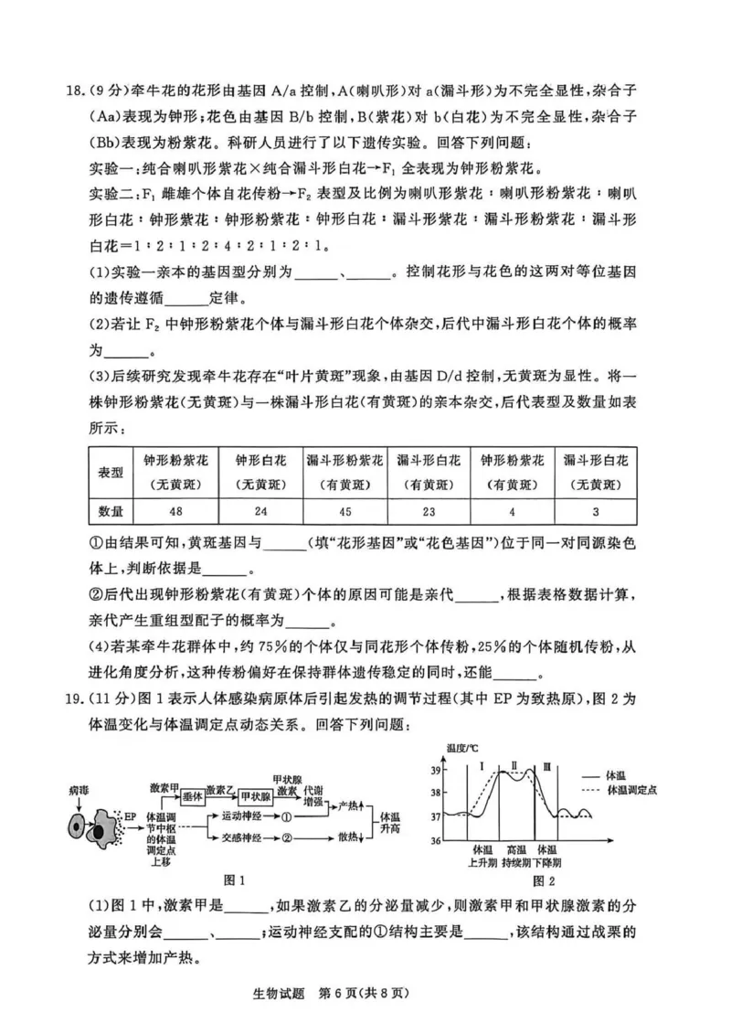 河南省青桐鸣大联考2025-2026学年高三上学期1月月考生物_2024-2026高三（6-6月题库）_2026年01月高三试卷_0116河南省青桐鸣大联考2025-2026学年高三上学期1月质量检测（全）