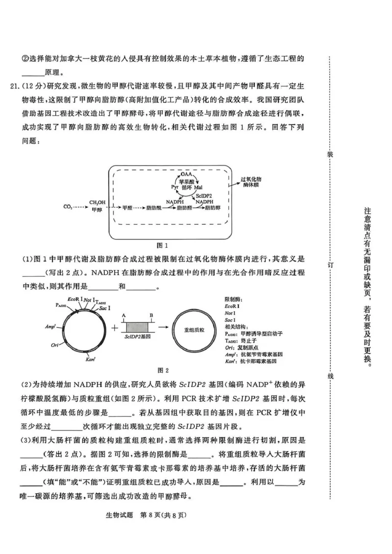 河南省青桐鸣大联考2025-2026学年高三上学期1月月考生物_2024-2026高三（6-6月题库）_2026年01月高三试卷_0116河南省青桐鸣大联考2025-2026学年高三上学期1月质量检测（全）