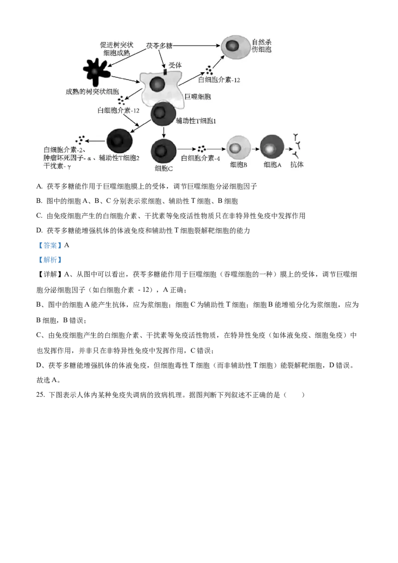 黑龙江省哈尔滨市第九中学校2025-2026学年高二上学期期中生物试题Word版含解析_251219黑龙江省哈尔滨市第九中学2025-2026学年高二上学期期中考试（全）